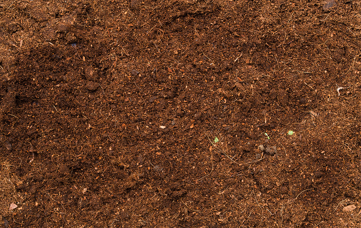 Close-up of rich, dark brown soil
